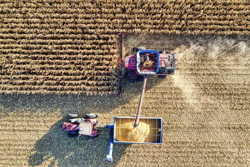 pexels-tomfisk-10816110