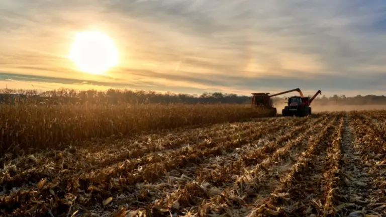 web-photo-template-onecms-1000-x-563-px-2025-09-12t121701-955