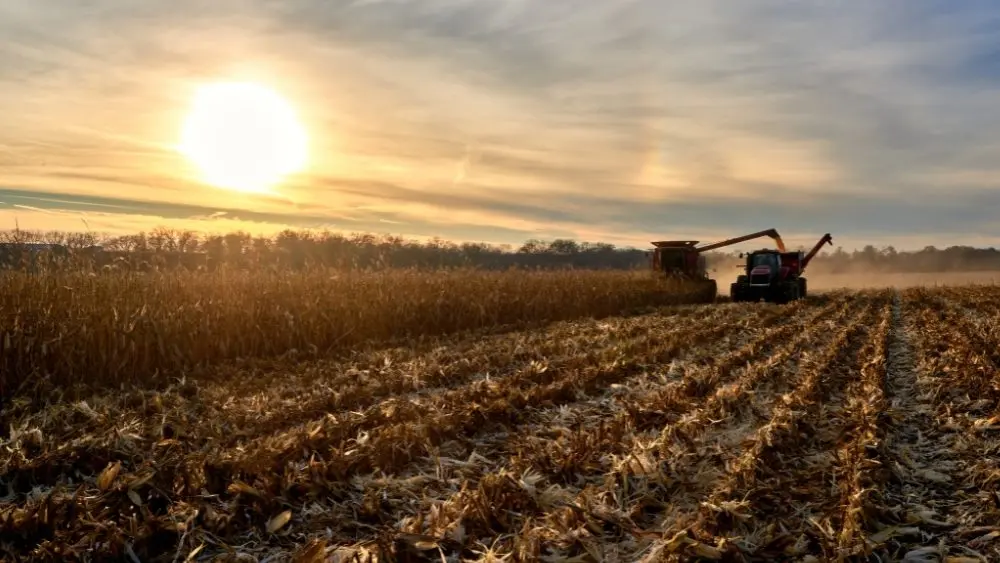 web-photo-template-onecms-1000-x-563-px-2025-09-12t121701-955