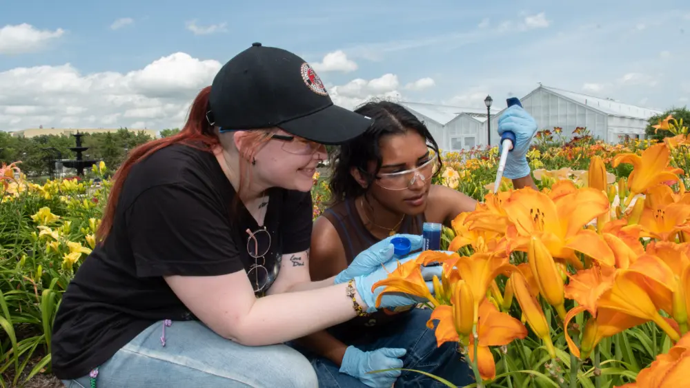 54780380943_a6c64dfb55_o