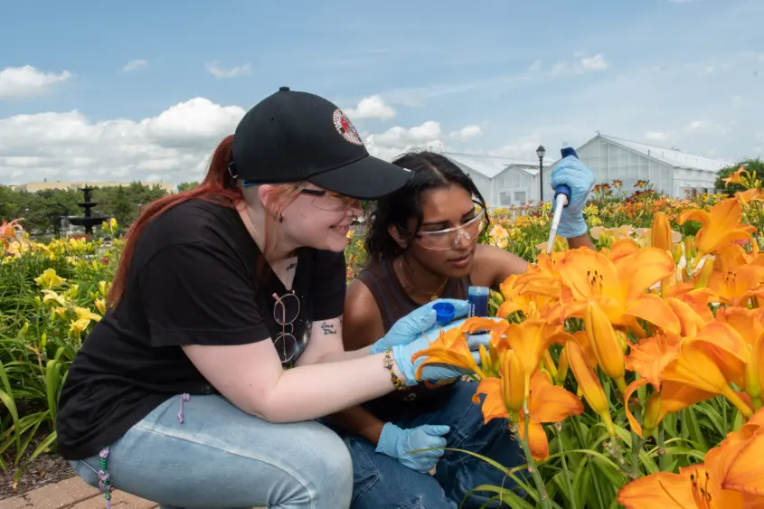 54780380943_a6c64dfb55_o