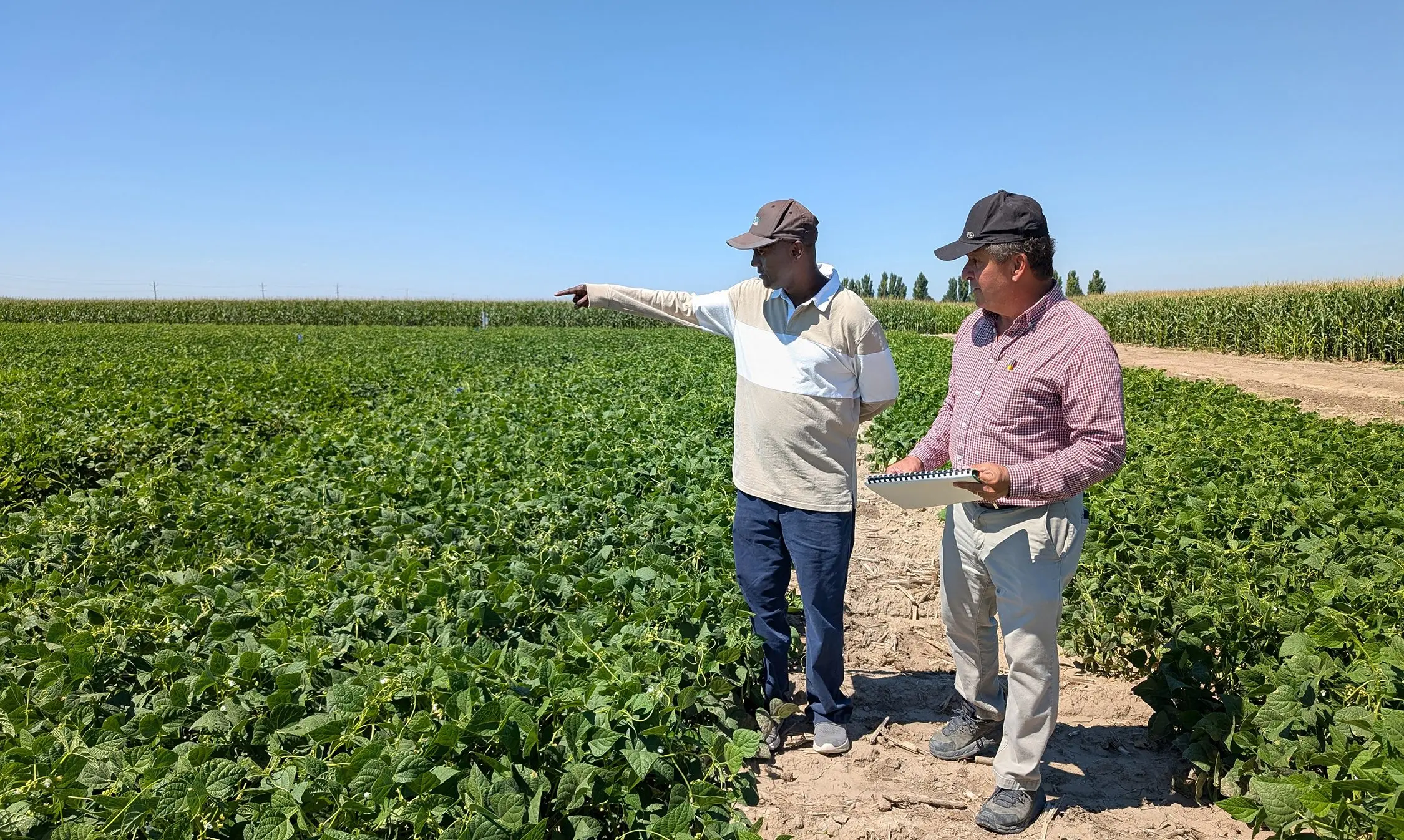 urrea-8-23-25-tan1zania-1web