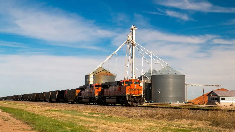 web-photo-template-onecms-1000-x-563-px-2025-09-16t095430-310