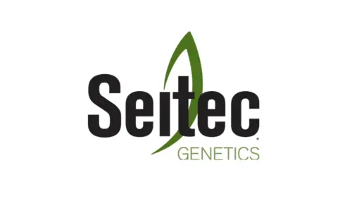 web-photo-template-onecms-1000-x-563-px-4-3