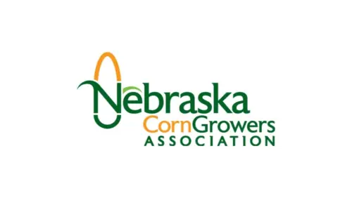 web-photo-template-onecms-1000-x-563-px-2025-09-19t075958-473