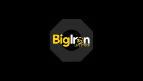 web-photo-template-onecms-1000-x-563-px-2025-09-19t080151-990