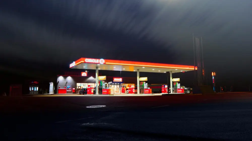 pexels-grizzlybear-399635