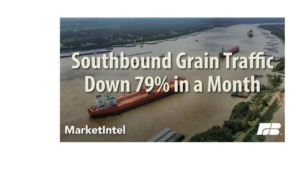 web-photo-template-onecms-1000-x-563-px-6-2