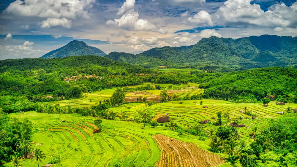 pexels-tomfisk-2032110