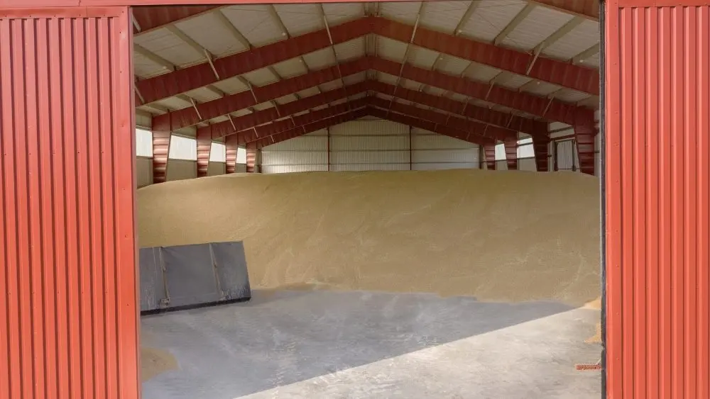 web-photo-template-onecms-1000-x-563-px-2025-10-01t151847-025