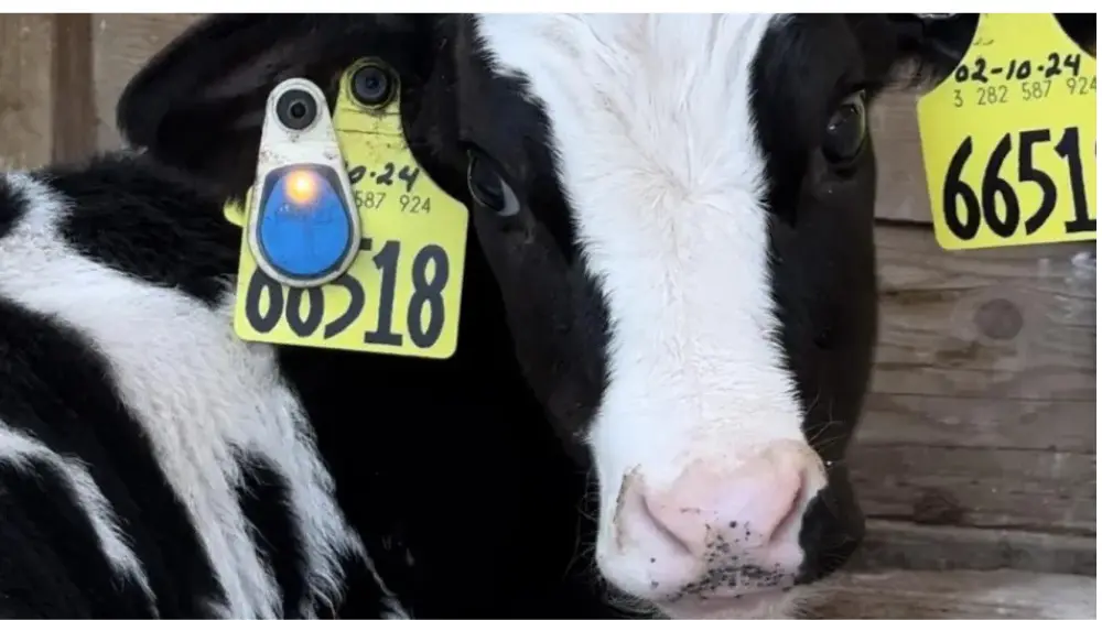 web-photo-template-onecms-1000-x-563-px-5-2