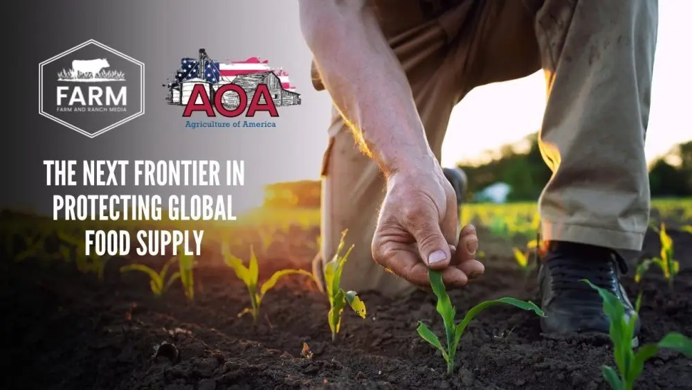 enko-thumbnail-1000x563732123-1