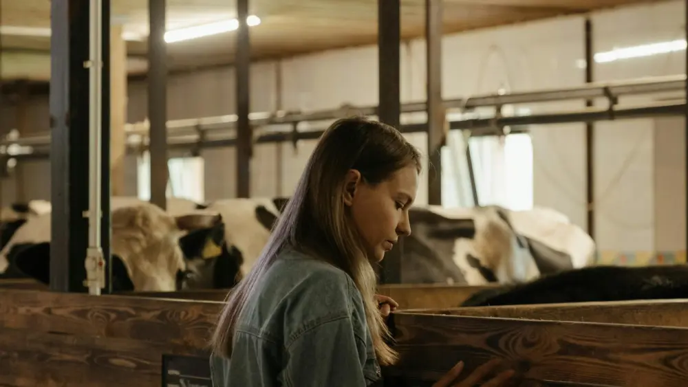 pexels-cottonbro-4910766