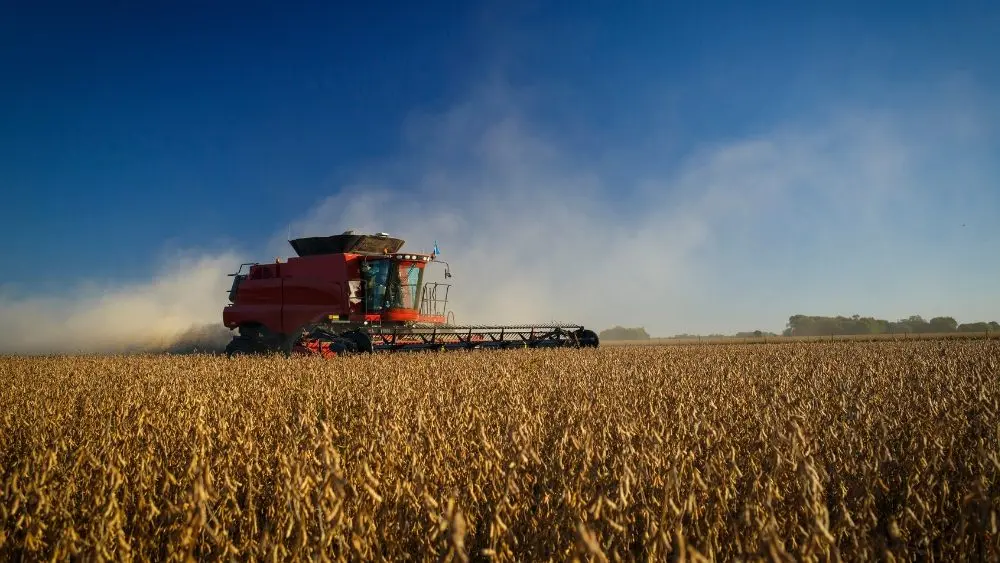 web-photo-template-onecms-1000-x-563-px-2025-10-03t130624-290