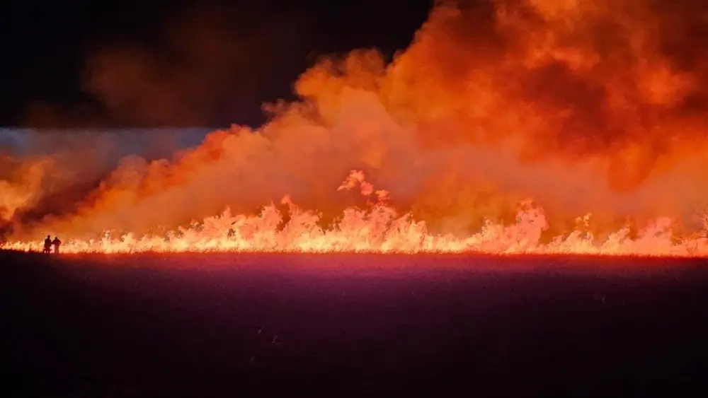 unnamed-2025-10-06t103514-634