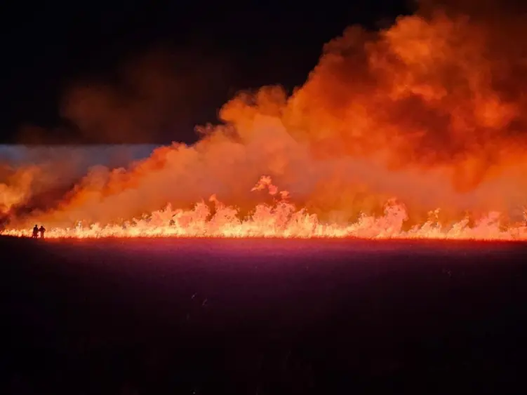 unnamed-2025-10-06t103514-634