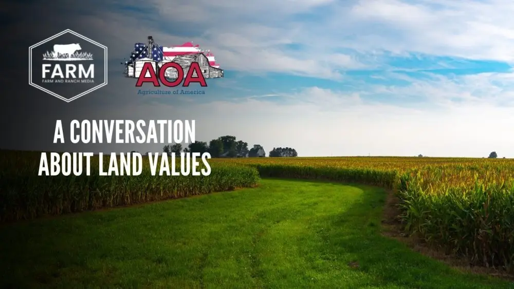 nlr-thumbnail-1000x56371370-1