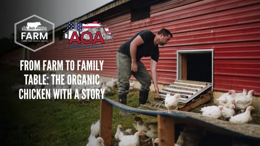 ff-thumbnail-1000x563246557-1