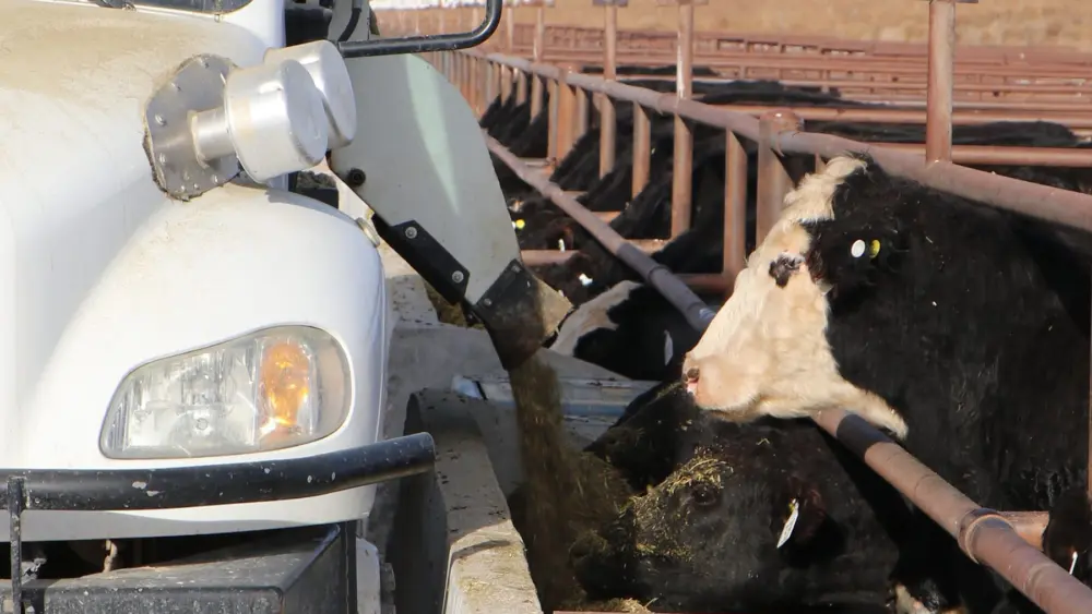 fedlt-11-1-soy-9steers