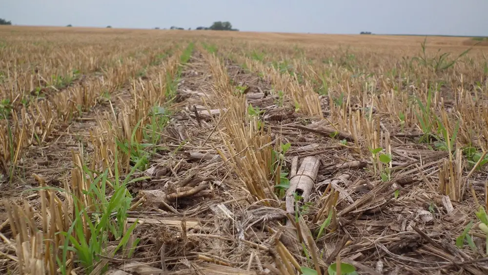 unnamed-2025-10-09t105210-265