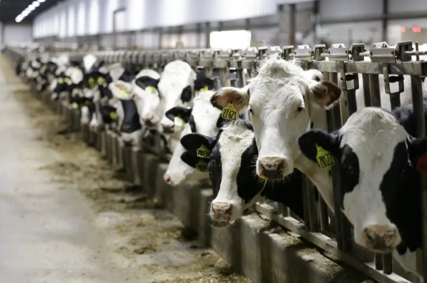 boehringer_pour-on-education-photo