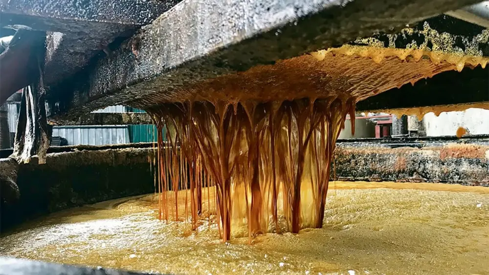 32-used-cooking-oil-rtx6ej6l-1200