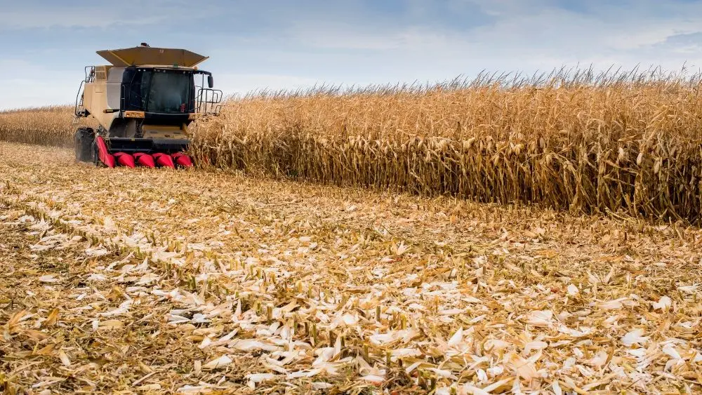 web-photo-template-onecms-1000-x-563-px-2025-10-16t142835-313