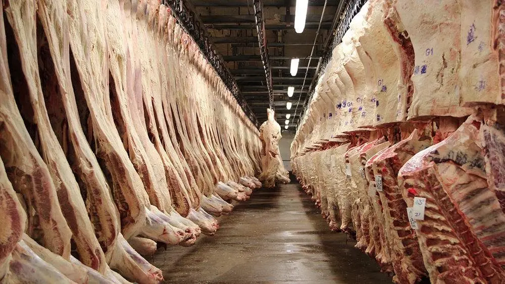 062615_jbs_carcass_7t5lbww-min