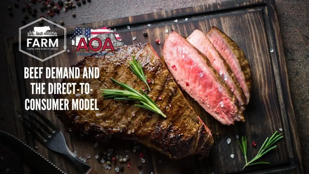 valor-thumbnail-1000x563289496-1