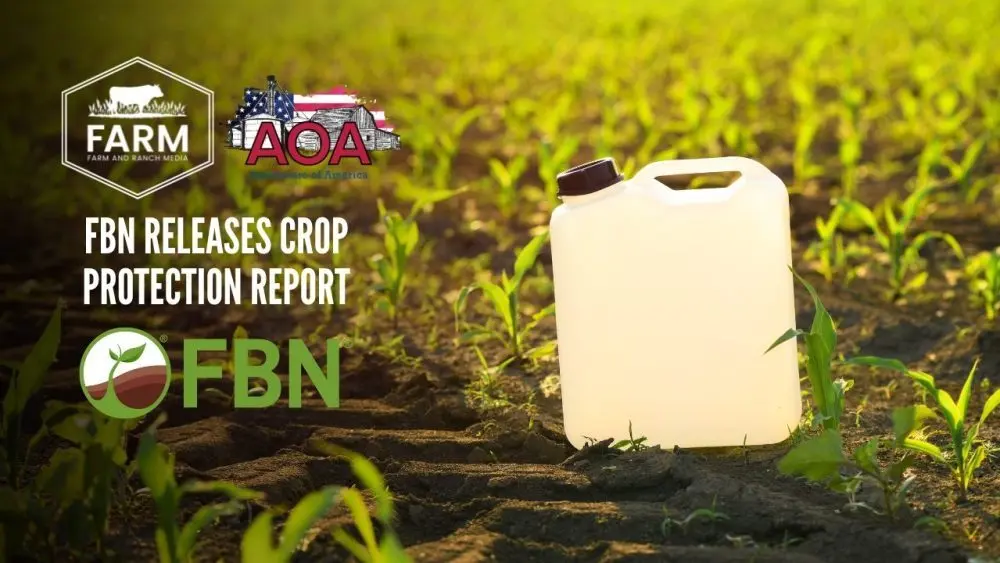 fbn-thumbnail-1000x563317171-1