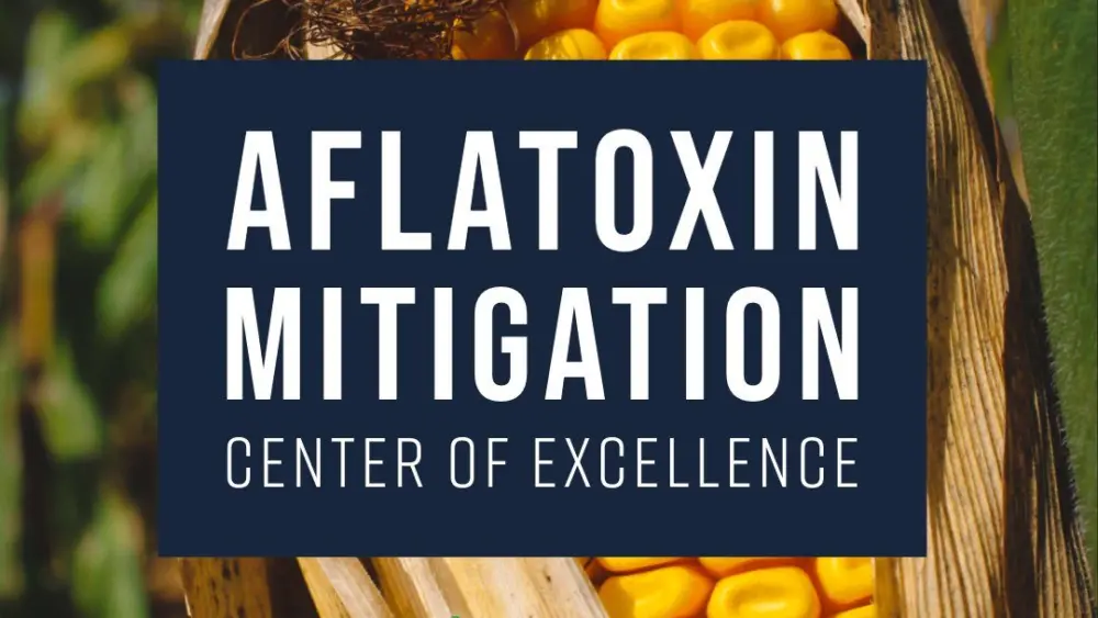 aflatoxin-mitigation-center-of-excellence-2-inst