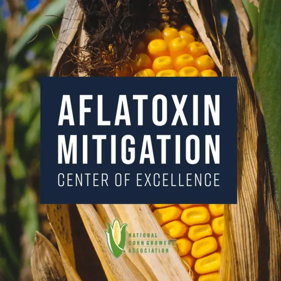 aflatoxin-mitigation-center-of-excellence-2-inst