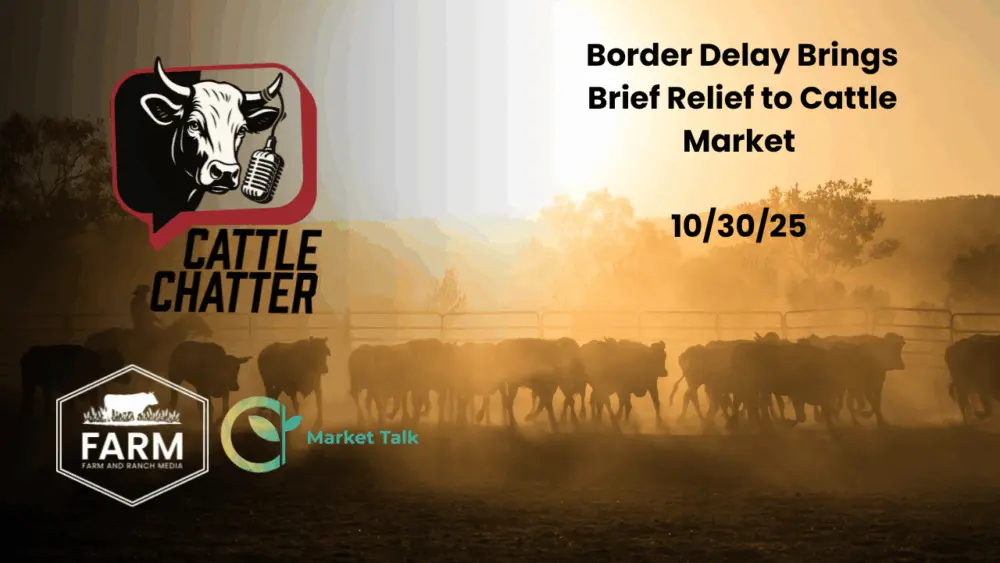 thumbnail_6-20251030-os181isuui391824