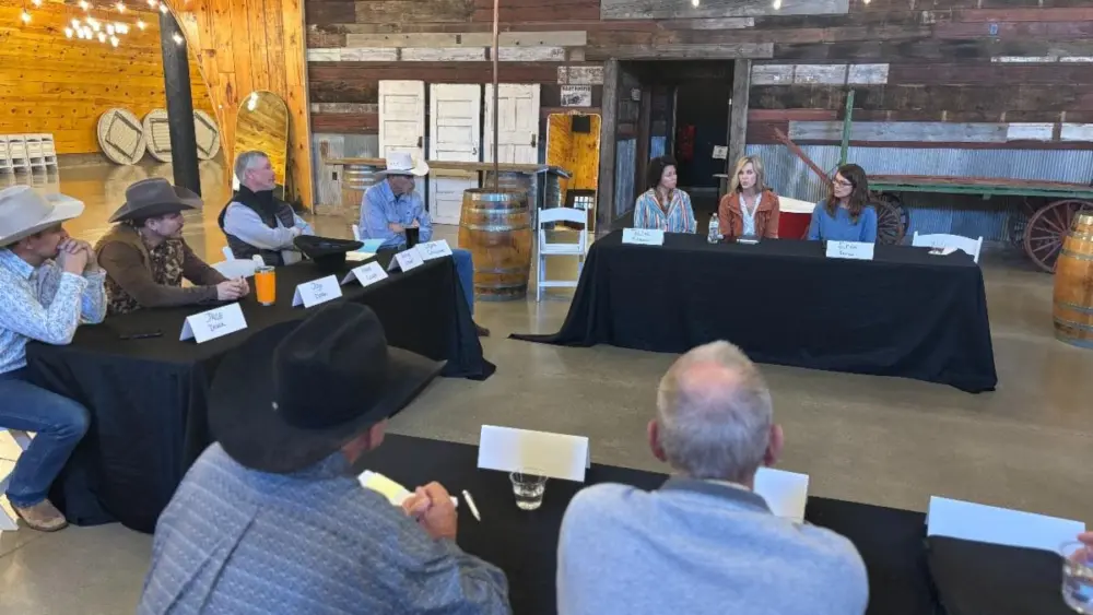 unnamed-2025-10-31t090323-902