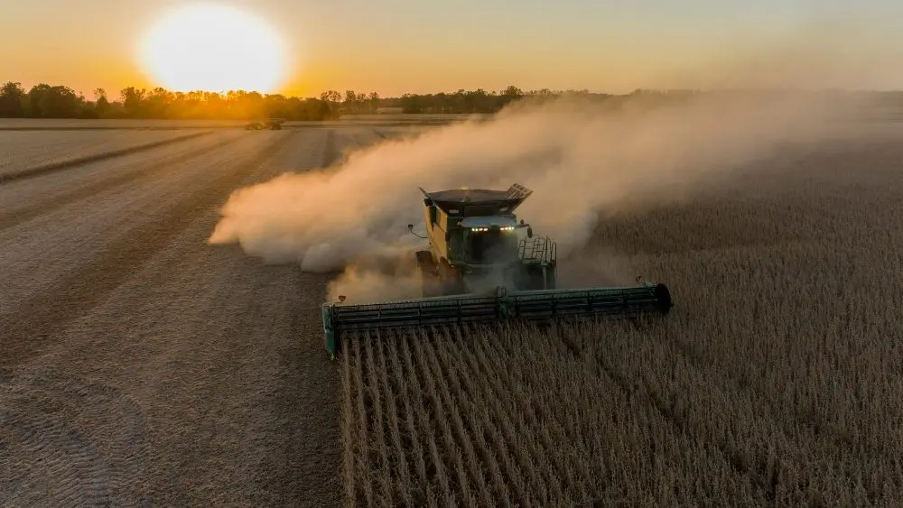 web-photo-template-onecms-1000-x-563-px-2025-10-31t112819-566