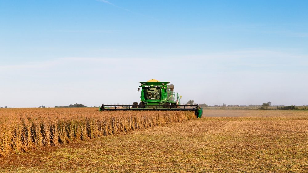 North Dakota Soybeans Gain Traction in New Overseas Markets After Trade Disruptions