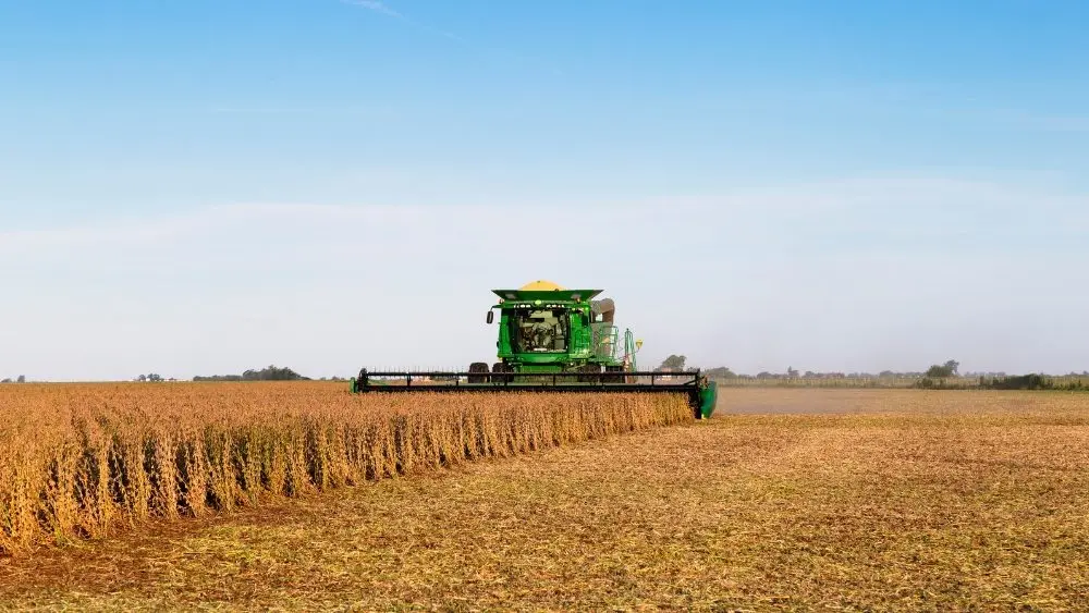 web-photo-template-onecms-1000-x-563-px-2025-11-03t145531-596