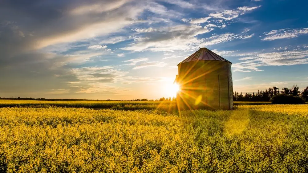 web-photo-template-onecms-1000-x-563-px-2025-11-04t105226-901