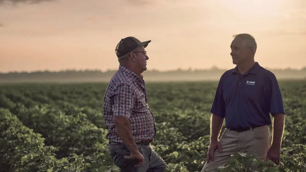 unnamed-2025-11-05t063850-836