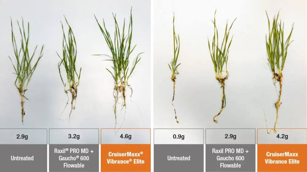 web-photo-template-onecms-1000-x-563-px-2025-11-07t065533-087