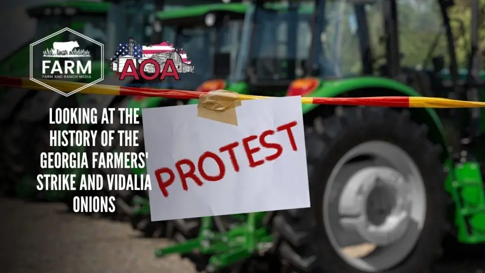 georgia-thumbnail-1000x563144559-1