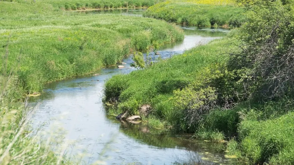 web-photo-template-onecms-1000-x-563-px-2025-11-17t145048-872