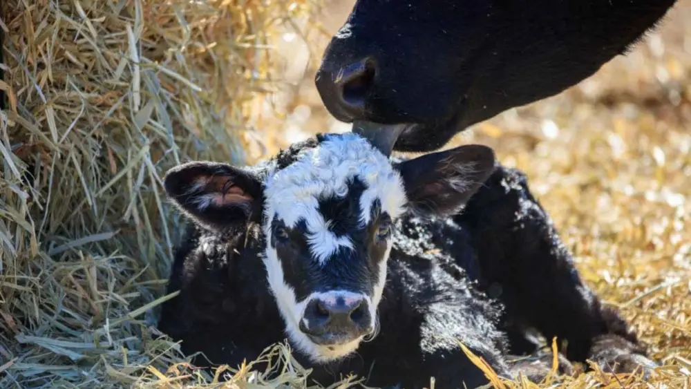 unnamed-2025-11-24t143203-562