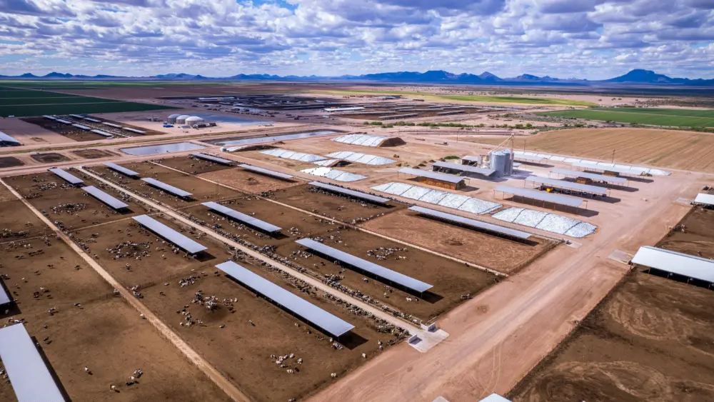 pexels-nc-farm-bureau-mark-11679511