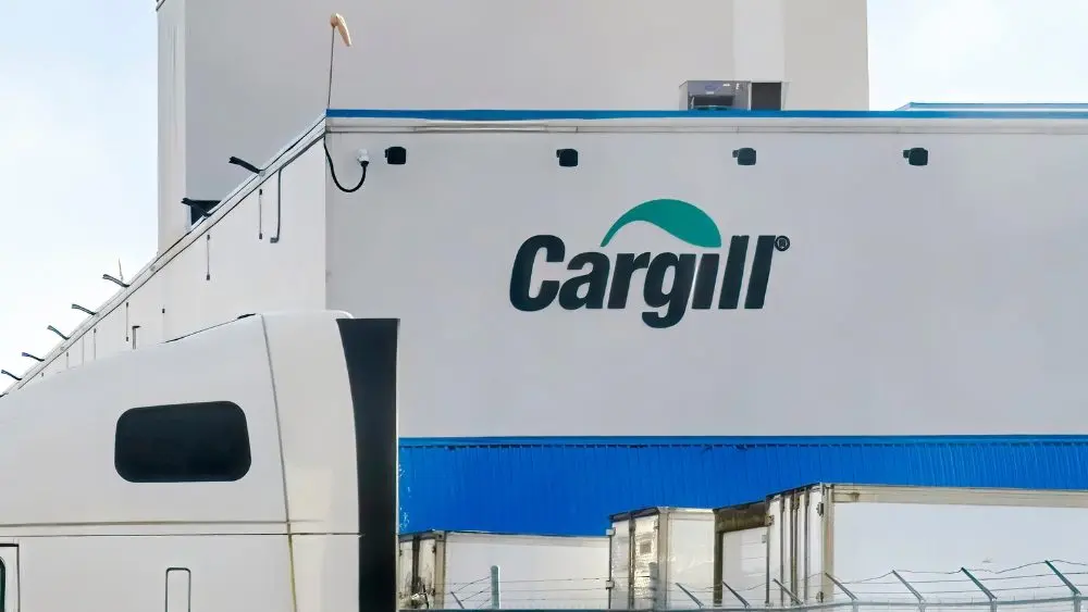 web-photo-template-onecms-1000-x-563-px-2025-12-01t151532-938