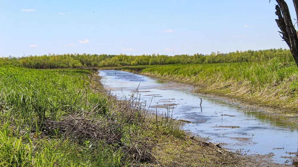 shallow-creek-5155681_1280