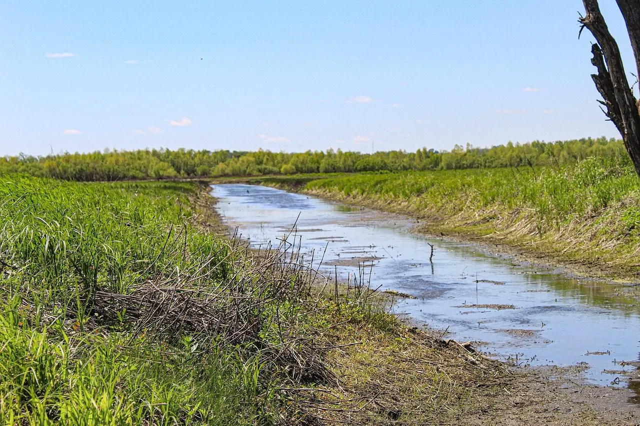 shallow-creek-5155681_1280