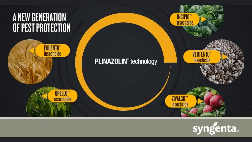 web-photo-template-onecms-1000-x-563-px-2025-12-04t134352-142