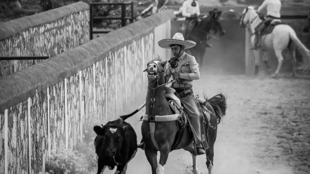 pexels-anya-juarez-tenorio-227888521-28247759