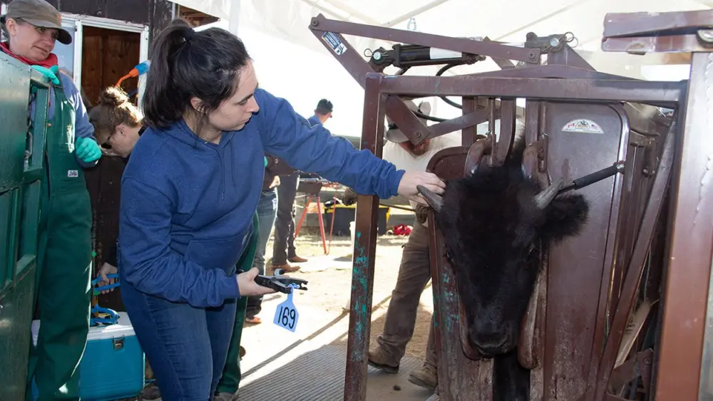 unnamed-2025-12-05t150901-634